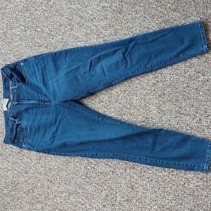 Everlane Curvy High Rise Skinny Jean